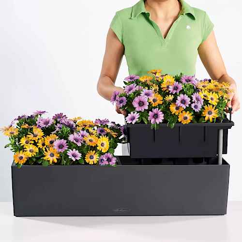 Placement of the Planter Liner in a Window-Box